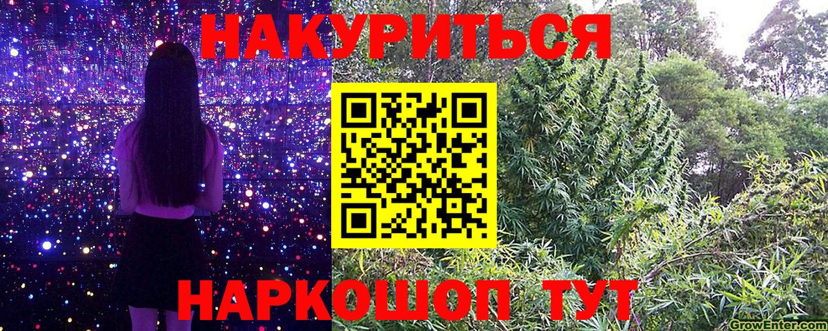 Бошки Шишки Ganja  Бошки Шишки планчик  Дедовск  Вход с VPN  Канабис планчик 